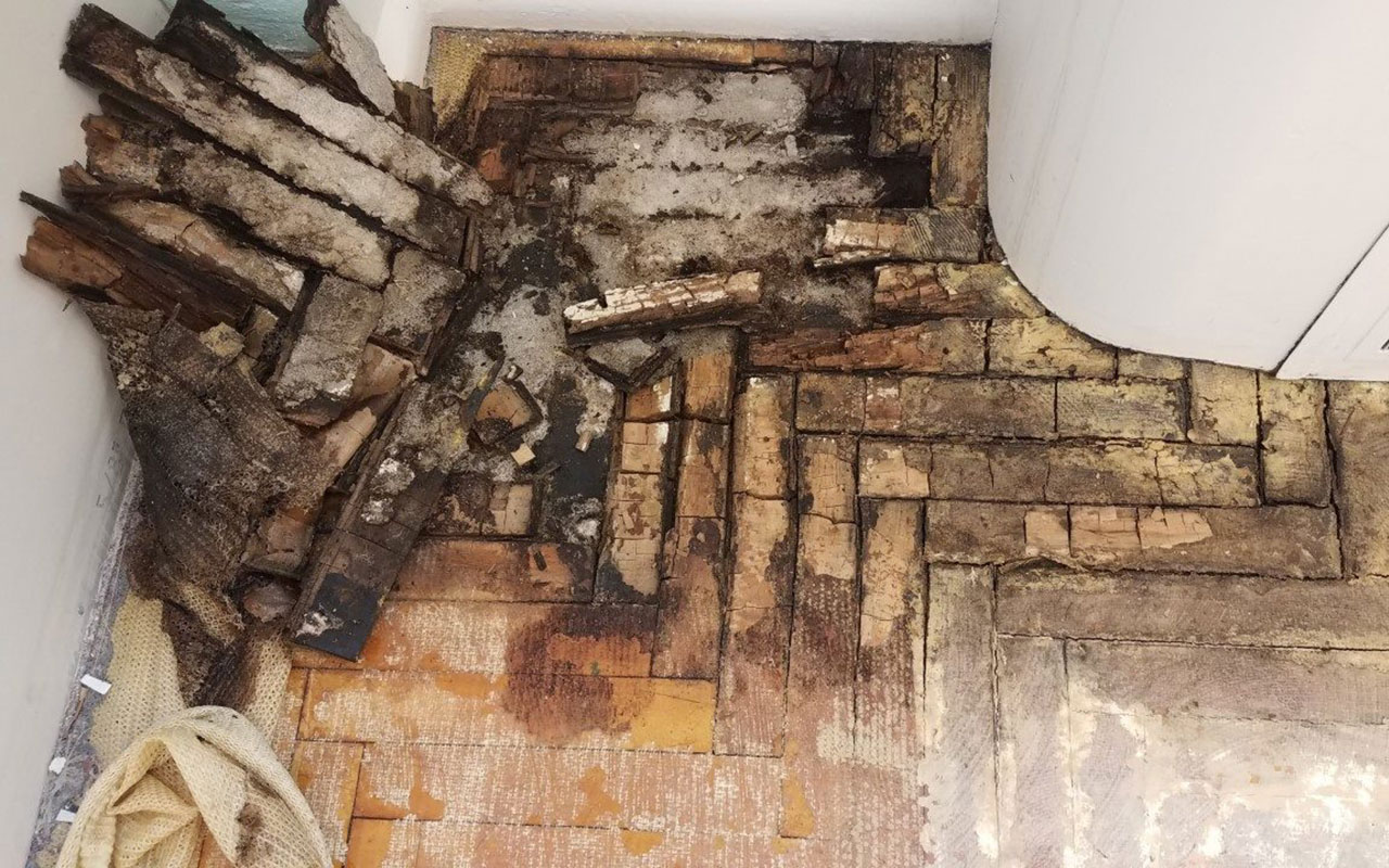 damaged moldy floor